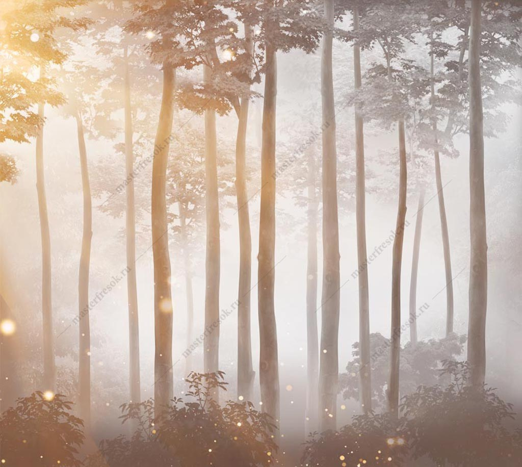 Фотообои Лучи солнца в лесу